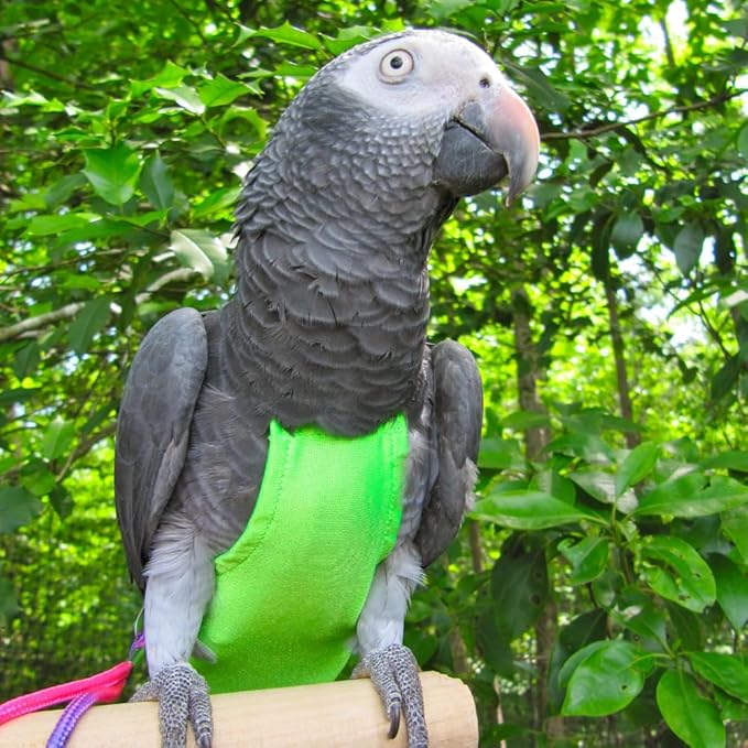 Avian Fashions FeatherWear FlightSuit Medium(5) Bird Diaper in Lime Green