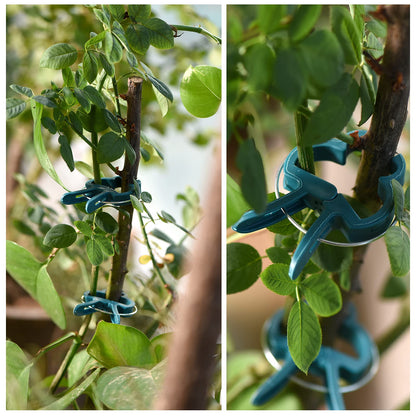 PERSZEN Plant Support Clips, 120 PCS Gentle Flower Plant Clamps for Supporting Vine Climbing Plants, Gardening Lever Loop Gripper Clips Help Stems Vines Grow Straight Upright, 2 Sizes in one Pack