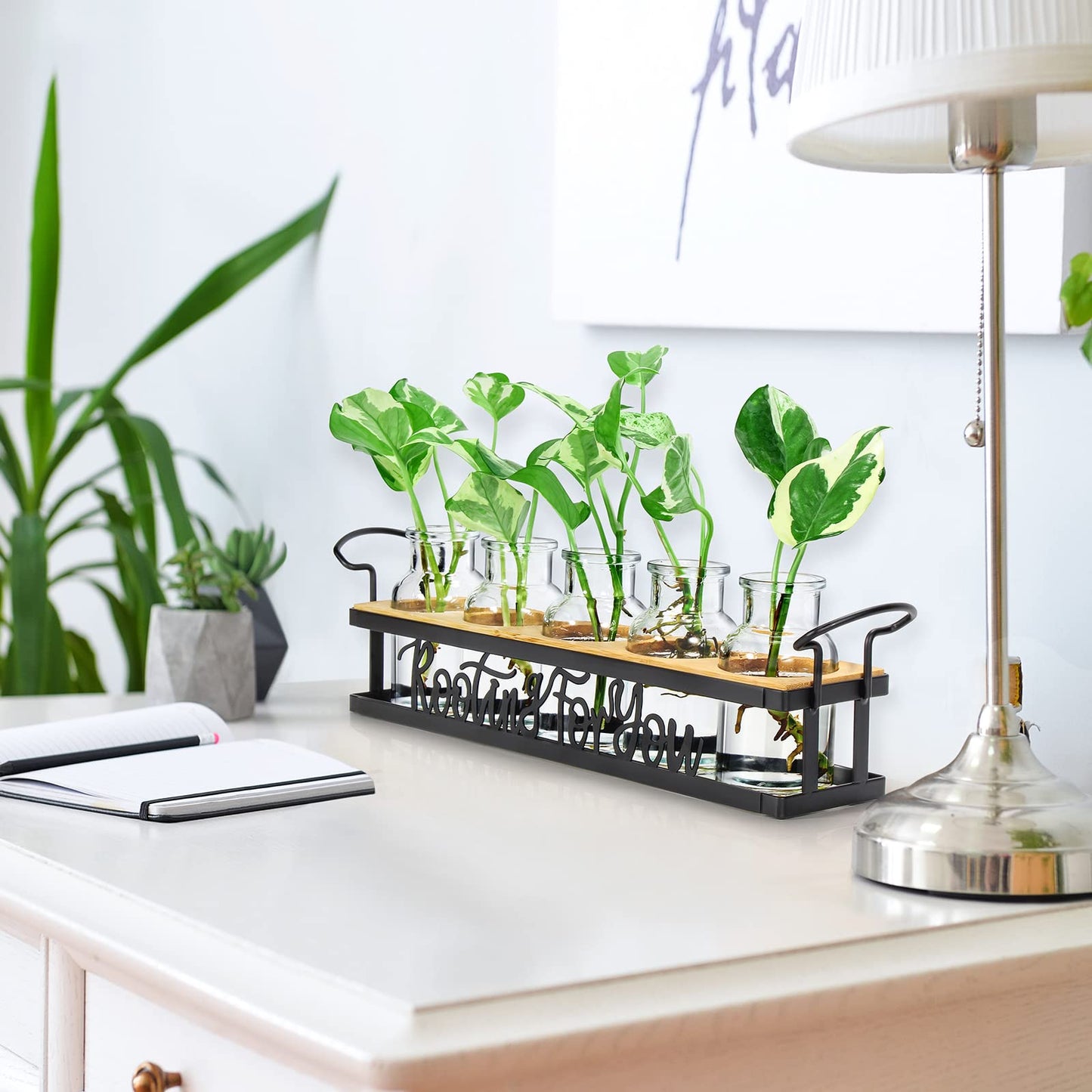 THYGIFTREE Plant Propagation Stations, for Plant Lovers Rooting for You Propagate Jars for Hydroponic Cuttings Propagating Vase