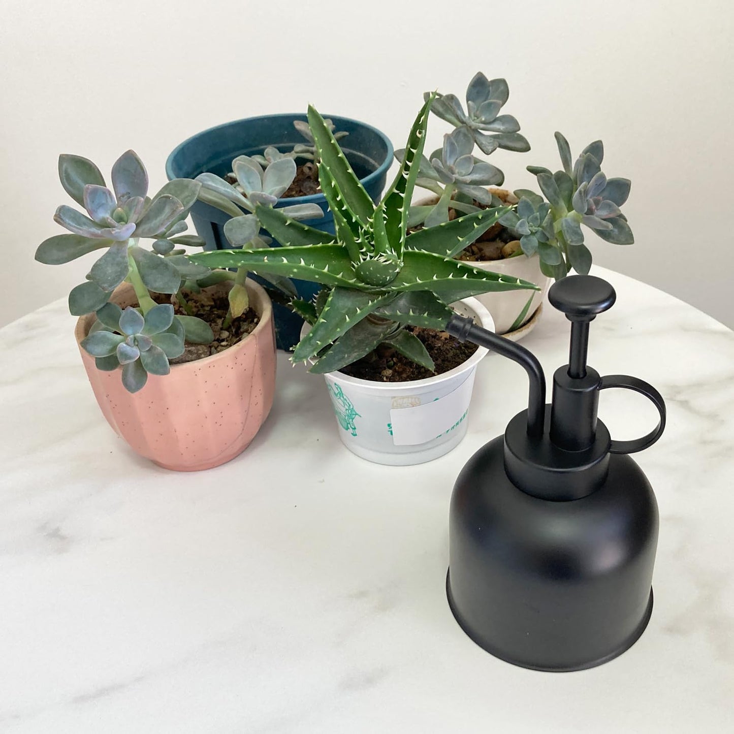 Lianshi Stainless Steel Plant Sprayer, Small Watering Can, Modern Gardening Tool for Indoor Potted Plants