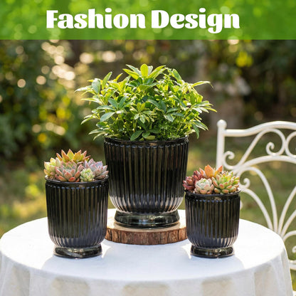 Ferrochef Set of 6 Self Watering Plant Pot 3 Sizes Plastic Double Layer Self Watering Flower Pot with Multi Mesh Drainage Holes Wicking Reservoir for Indoor Outdoor Garden Plants(Black)
