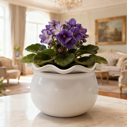 Sanmudecor Self Watering Planter Pot for African Violets, White Ceramic Indoor Plant Pot with Bottom Watering System, 7"
