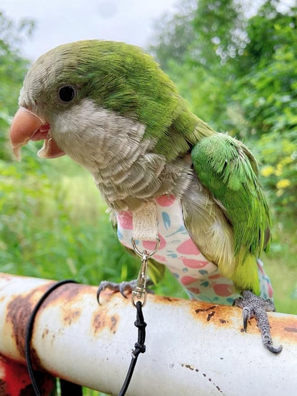 Bird Diaper Harness Flight Suit Clothes, Parrot Flight Suit with Leash, Bird Flying Clothes with Rope and Handle for Outdoor Activities Training (Pink with Leash,Large)
