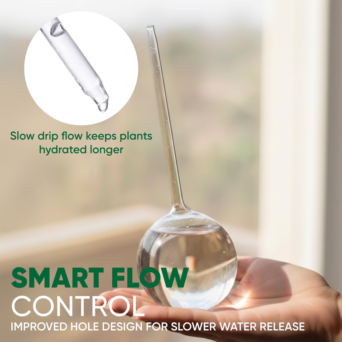 Mission Gallery Clear Plant Watering Globes Set of 2 - Large Self Watering Globes for Indoor & Outdoor Plants - Automatic, Glass Watering Bulbs for Daily Use, Plant Watering Devices
