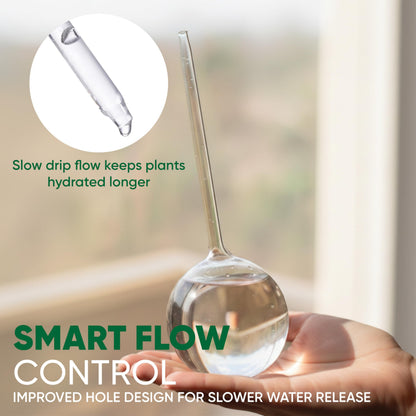 Mission Gallery Clear Plant Watering Globes Set of 6 - Small Self Watering Globes for Indoor & Outdoor Plants - Automatic, Glass Watering Bulbs for Daily Use, Plant Watering Devices