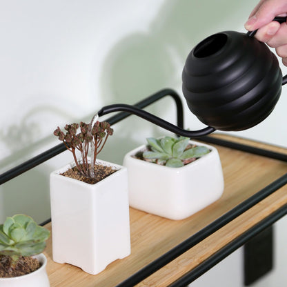 Lianshi Plant Watering Bottle, 400ml/14oz, Retro Style Watering Can, Matte, Frosted (Black)