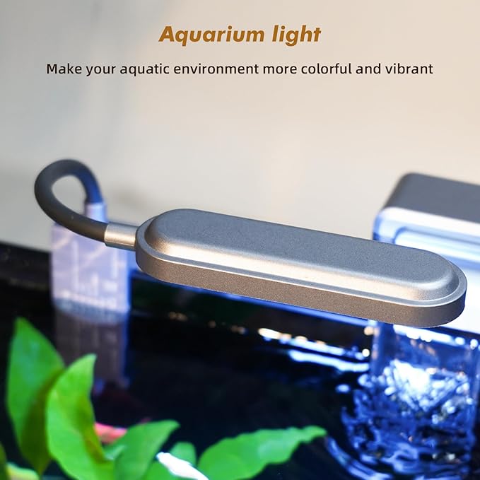 Rise Torrent Glass Fish Tank, 2.8 Gallon Betta Fish Tank Aquarium Starter Kit with Filter and Light, Small Desktop Aquarium Kit for Betta, Goldfish, Small Fish or shrimg