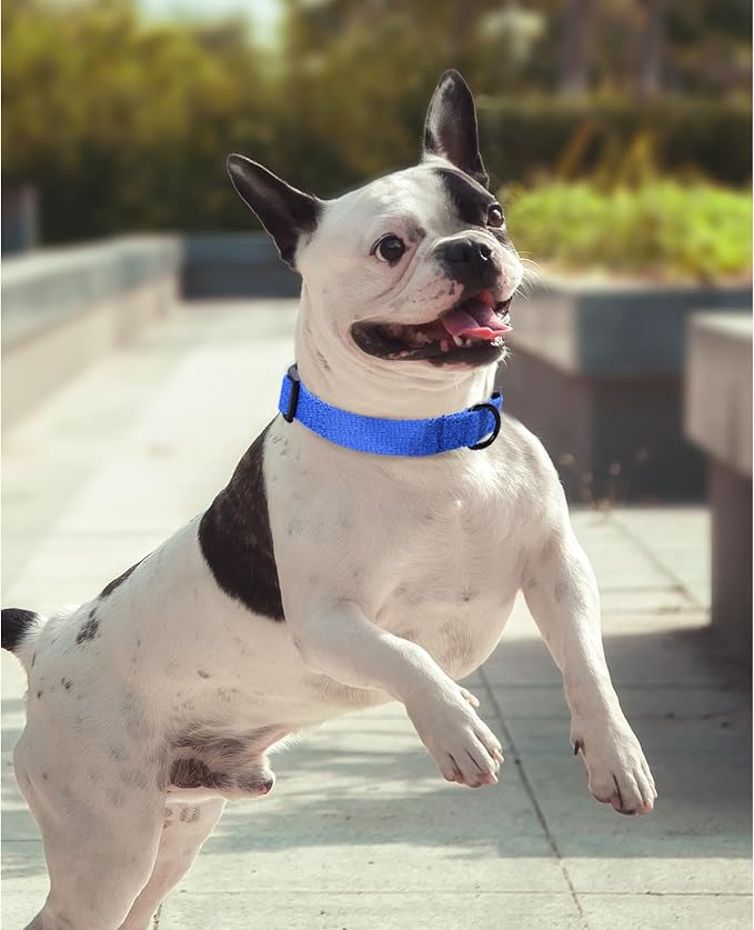 Mile High Life Soft & Strong Poly Cotton Adjustable Dog Collar with Quick Release Buckle for Small to Large Dogs(Blue, Small Neck 11"-15")