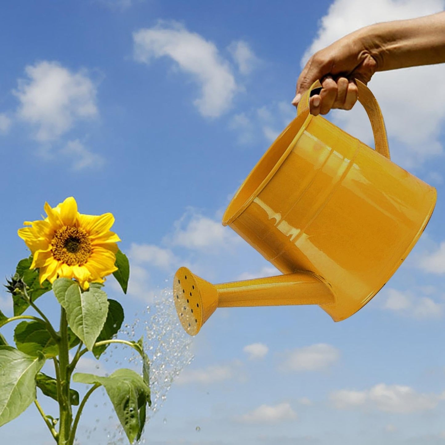 Small Watering Can, Metal Watering Can with Sprinkler Head, Lightweight Durable Decorative Sprinkling Can Gardening Tool Accessories for for Outdoor Indoor Lawn Garden (Yellow)