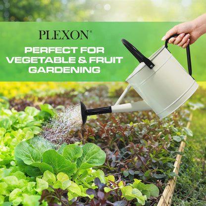 Plexon Metal Watering Can Outdoor 1 Gallon, Flower Plant Gardening Garden Large Watering Can Pot, Black Galvanized Steel Handles and Removable Spray Spout, Off-White