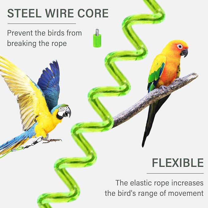 Parrot Flying Leash, 16.4 ft Training Rope with 3 Size Bird Foot Ring, Anti-Bite Elastic String for Cockatiels, Birds, Pigeon (Clear)