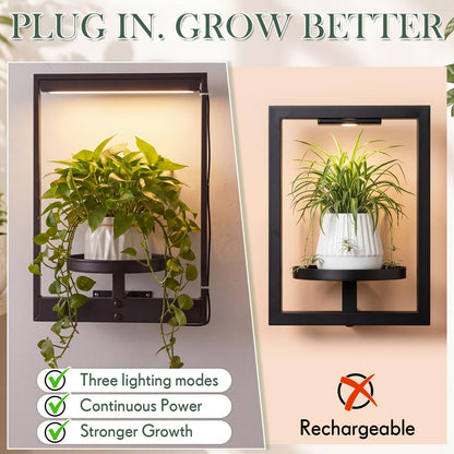 Yiyiring 3 Pack Wall Plant Holders with Remote Grow Lights, Indoor Plants Holders, Plants Shelves Hanging Planters, Wall Mounted Framed Plant Holder for Indoor Living Room Decor