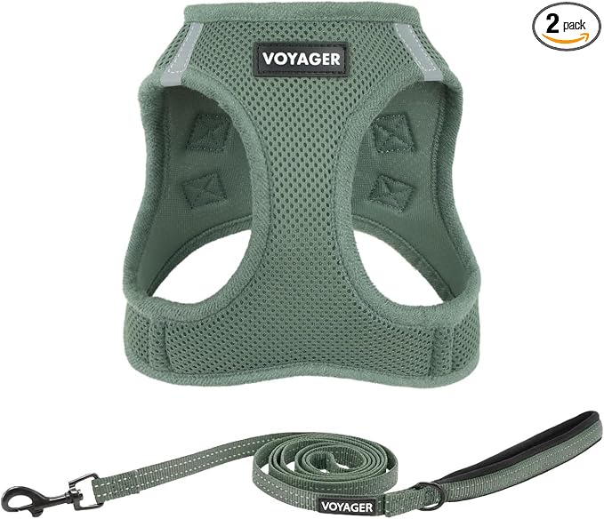 Best Pet Supplies Voyager Step-in Air All Weather Mesh Harness and Reflective Dog 5ft Leash Combo with Neoprene Handle, for Small, Medium and Large Breed Puppies - Moss Green, Large