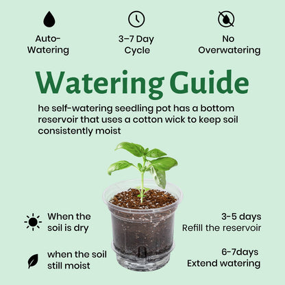 Bluepro 20 Pack 5 Inch Clear Self Watering Plant Pots with Bottom Water Tray & Watering Rope, Transparent Nursery Pots with Drainage for Seedlings, Herbs, and Houseplants
