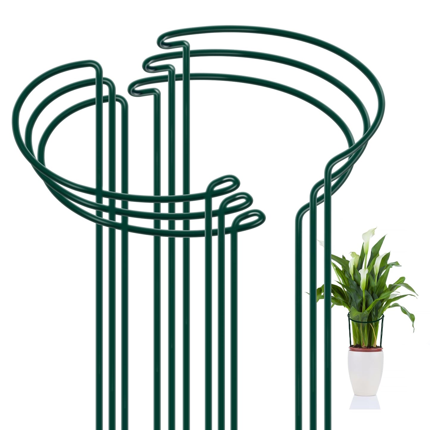 FEED GARDEN 6 Pack Plant Support Stakes, Peony Cages and Supports, Metal Garden Plant Stake(10" Wide x 16" High) Green Half Round Plant Support Rings for Outdoor Indoor Plants, Tomato, Hydrangea