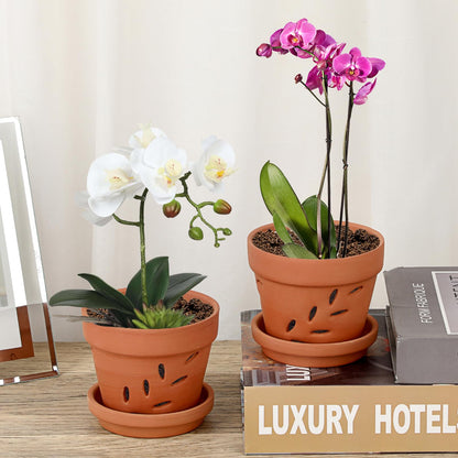 JUXYES 6 Pack Small Terracotta Orchid Pots with Holes and Saucers, Clay Orchid Planter Pots for Repotting, Plant Flower Pots for Orchid Indoor and Outdoor Promotes Air Circulation, 4 Inches