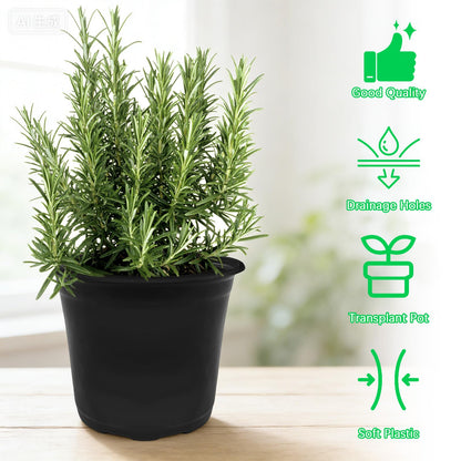 Anyumocz 60Pcs 0.5 Gallon Plant Nursery Pots,Plastic Pots with Drainage Holes,Flower Container Seedling Pot for Planting,Transplanting,Succulents,Cuttings,Garden(Black)