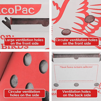 12 Pack Single Live Bird Shipping Boxes, Live Chicken Shipping Boxes, Poultry Shipping Boxes has Ventilation Openings, Cardboard Pet Carrier for Chicken, Bird, Duck, Pigeons, Canaries 17.7x7.8x11.8 in