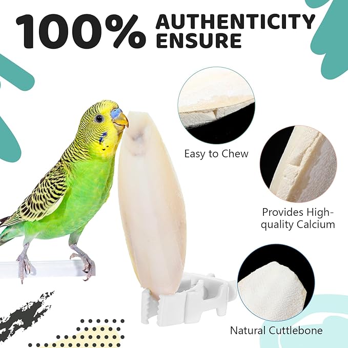 40 Pcs Cuddle Bone Cuttlefish Bone 3.0" to 3.5" Cuttlebone for Birds with 1 Parakeet Cuttlebone Holder Bird Cage Food Clip, Parakeet Toys Chew Toy for Birds Parrots Cockatiels Budgie Snails Reptiles