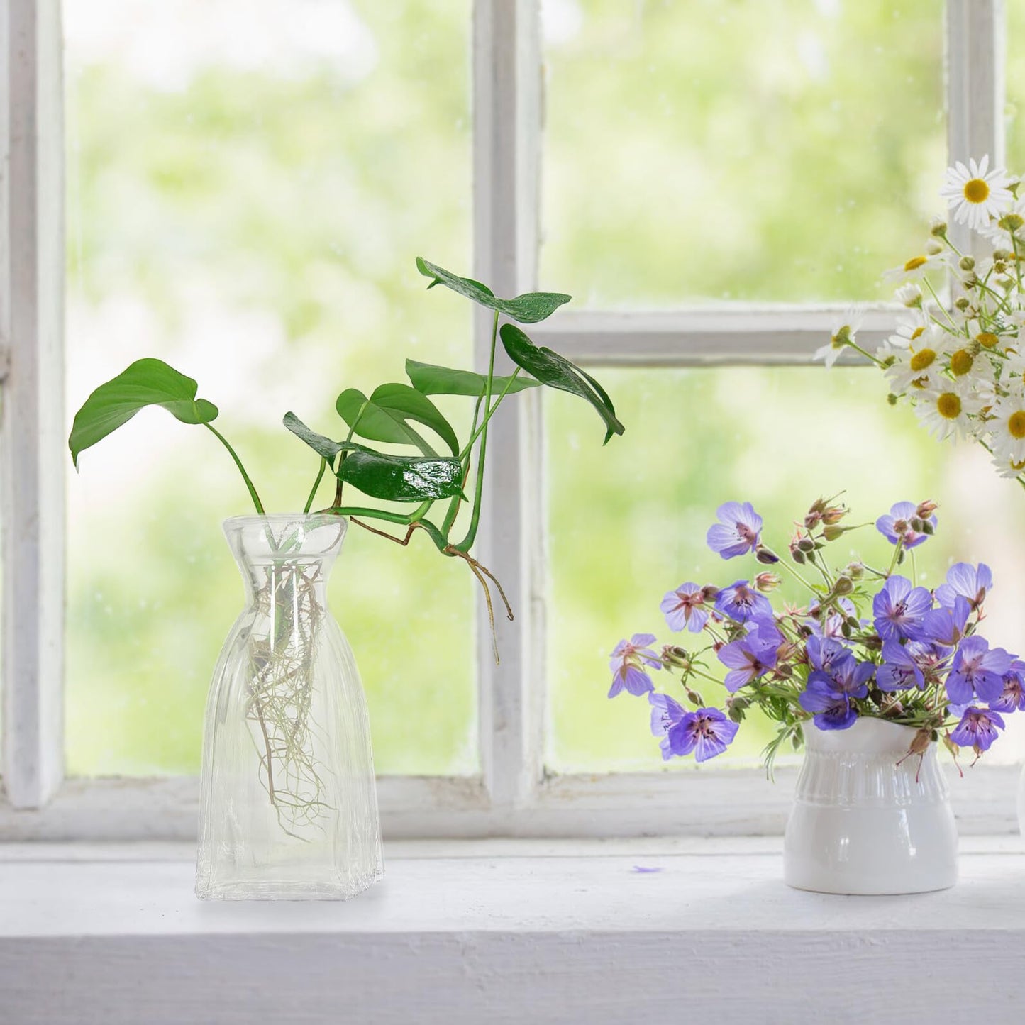 Kichvoe 4pcs Glass Flower Vase Set for Home Décor, Indoor Hydroponic Terrarium Glass Vases, Decorative Table Centerpiece for Plants and Flowers