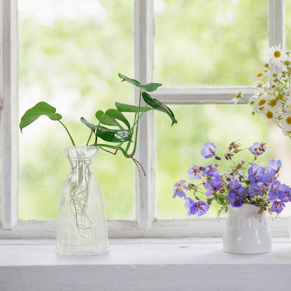 Kichvoe 4pcs Glass Flower Vase Set for Home Décor, Indoor Hydroponic Terrarium Glass Vases, Decorative Table Centerpiece for Plants and Flowers