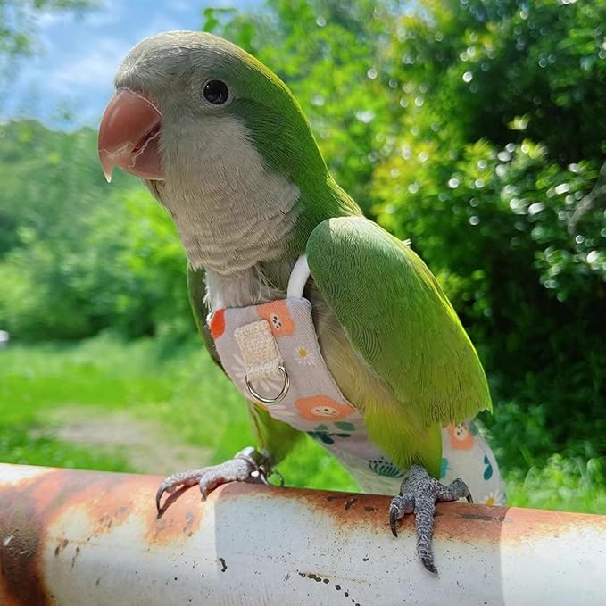 Snap-Closure Parrot Diaper Flight Suit for Cockatiels, Lovebirds & Medium Birds Cotton Washable Escape-Proof Harness with Leash Set(Green Monk Model)