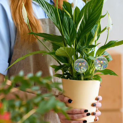 Pynqdfu 4 Pcs Plant Watering Globes,Rainbow Gradient Glass Watering Devices,Self Watering Planter Insert Plant Accessories for Indoor,Outdoor,Flowerpot,Hanging Plants,Home Garden,8.7" L×2.8" D
