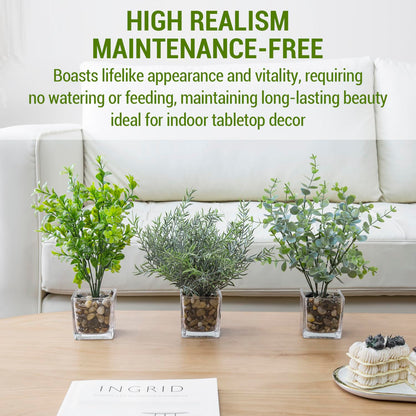 MyGift Artificial Rosemary Eucalyptus and Boxwood Plants Potted in Clear Glass Square Pots, Assorted Faux Greenery Indoor Home Table Centerpiece Office Desk Decor, 3 Piece Set