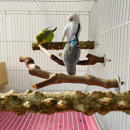 5 PCS Natural Wooden Parrot Stand Bird Perch Stand Grape Stick Hanging Multi Branch Perch for Parrots, Bird Cage Accessories