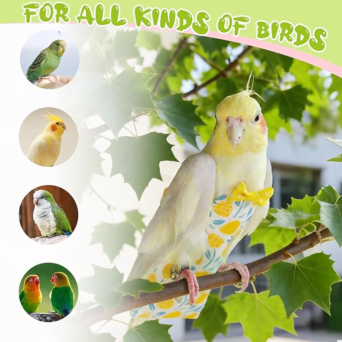 Bird Diaper Flight Suit, 3-Packs Lightweight Reusable Washable Elastic-Straps Parrot Clothes for Peony/Monk Parakeet, Prevents Poop Leaks & Feather Pecking (Peach+Orange+Watermelon, M)