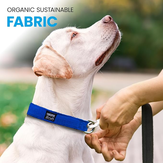 Hypoallergenic Dog Collar - Great for Sensitive Skin, Soft Collar for Dogs, Soft Organic & Earth Friendly (Small, Light Blue)