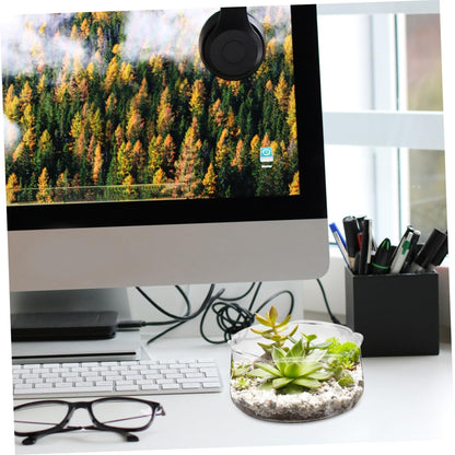 Alipis 2pcs Glass Vase for Hydroponic Plants Elegant Glass Plant Holder for Decor Decorative Fish Tank Terrarium Pot Container