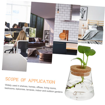 UTHCLO 2Pcs Clear Glass Desktop Vases for Hydroponics Plants Smooth Terrarium Planter Jars for Office Home Garden Decoration