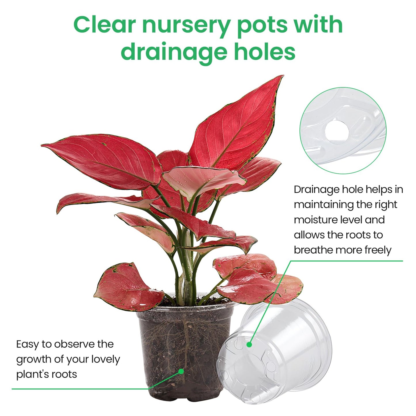 Bluepro 30 Packs 7/5/4 Inch Reinforced Clear Nursery Pots with Drainage Hole, Transparent Variety Pack Plastic Plant Pot Seedling Planter for Vegetable Propagation, Root Cutting, Seed Starting