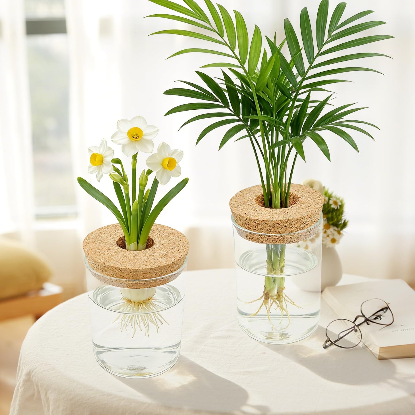 Glass Propagation Station for Plants Set of 4,Desktop Vases for Herb,Plant Cuttings,Planter Jars for Home,Propagation Flower Vases for Living Room,Bedroom,Home Office Decoration,Plant Lover Present