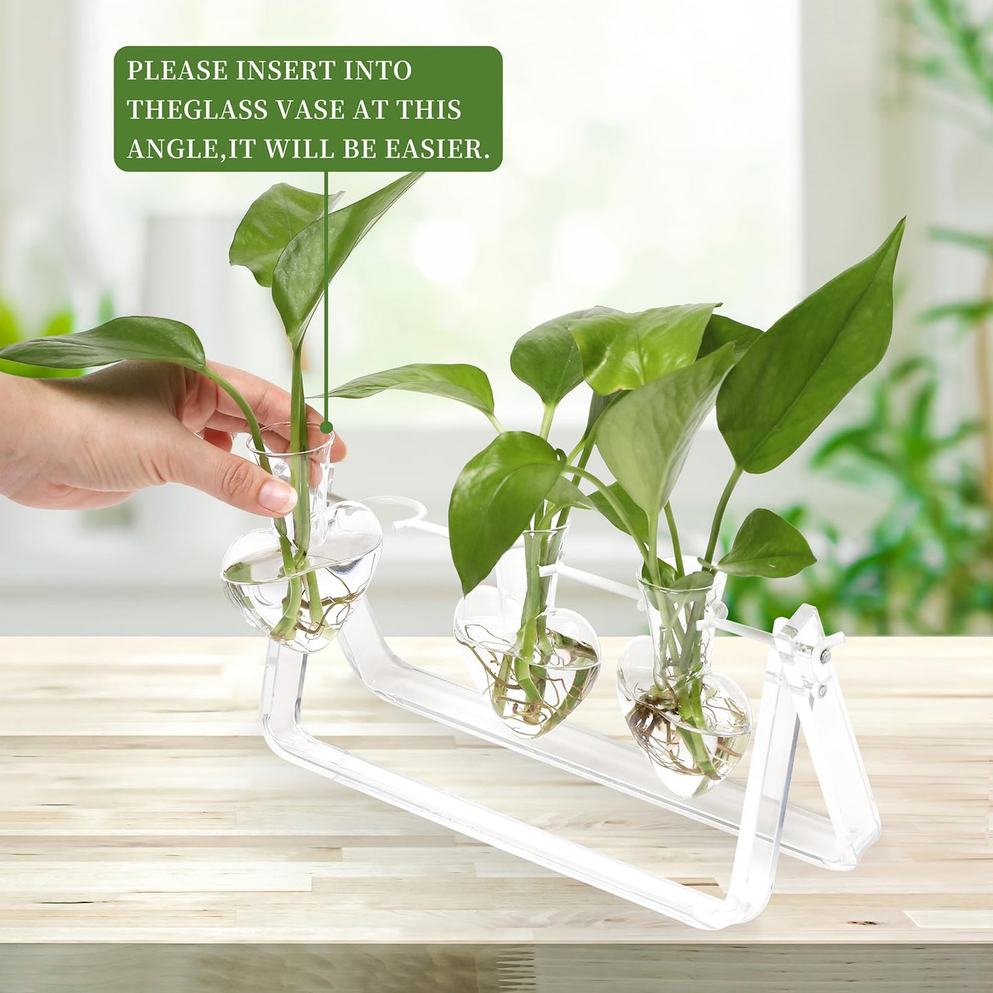 CYZglass Clear Plant Terrarium Propagation Stations with Acrylic Stand Birthday Gifts for Women Office Home Decor