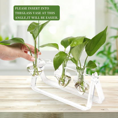 CYZglass Clear Plant Terrarium Propagation Stations with Acrylic Stand Birthday Gifts for Women Office Home Decor