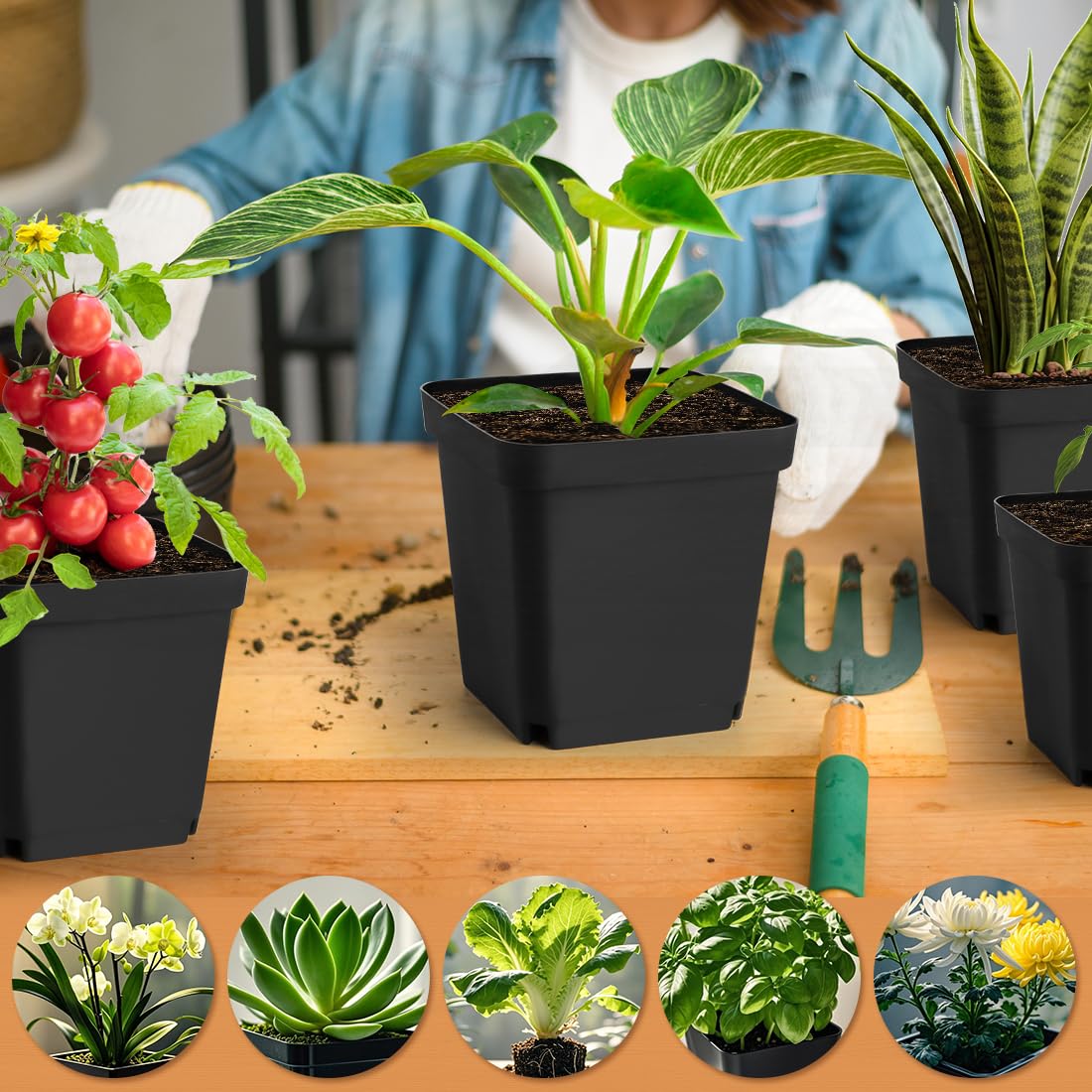 RooTrimmer Square Nursery Pots 5.5 Inch, Plastic Plant Pot with Drainage Holes, 30 Pcs Reusable Seedling Starter Pots Garden Flower Pots Planters for Indoor Plants, Transplanting, Succulents, Cuttings