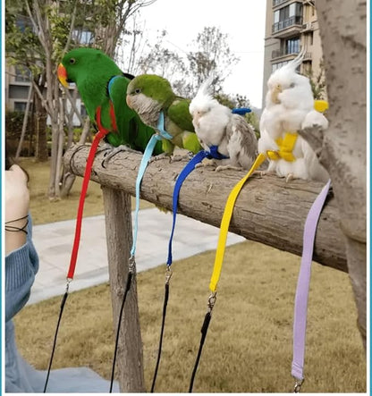 Bird Harness Leash Adjustable Outdoor Training Flying Harness Traction Rope with Cute Wing for Parrots Pigeons Budgerigar Lovebird Cockatiel Mynah (M,Purple)