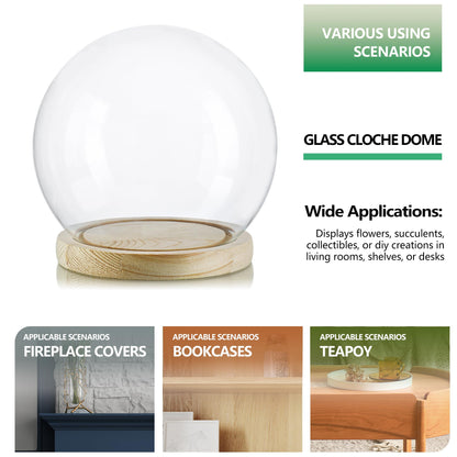 ZEERSHEE Round Globe Cloche Glass Dome with Wooden Base, 6" Glass Display Dome for Succulents, Plants & Keepsakes, Decorative Sphere Cloche Bell Jar for Collectibles & Home Decor