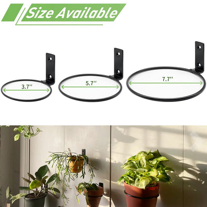 Greemov 6 Pack 6 Inch Wall Flower Pot Holder Ring Plant Hanger, Metal Planter Hooks Wall Mounted Bracket Heavy Duty for Outdoor Indoor