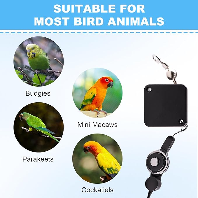 Bird Leash, with 5 Different Size Foot Ring and Feeder Box, Retractable Anti-Bite Parrot Harness, Bird Flight Training Rope for Budgies,Cockatiels,Psittacula Longicauda,Mini Macaws (13.12Ft)
