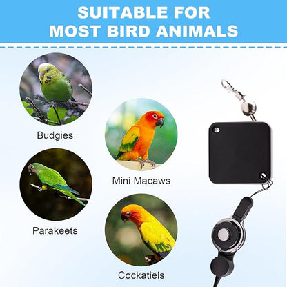 Bird Leash, with 5 Different Size Foot Ring and Feeder Box, Retractable Anti-Bite Parrot Harness, Bird Flight Training Rope for Budgies,Cockatiels,Psittacula Longicauda,Mini Macaws (13.12Ft)