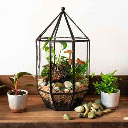 SuperMoss (90405) Glass Terrarium – Elegant Indoor Gardening Décor, Ideal Gifts for Plant Lovers, Modern Home & Office Decoration, 7.5” x 7.5” x 14”, Greenhouse