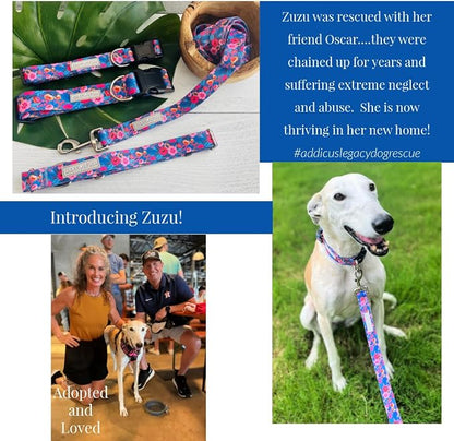 Lucky Love Dog Martingale Dog Collar & Leash - Adjustable, No-Slip, Durable, Comfortable, Soft Webbing, & Stylish Patterned Collar & Leash Set for Male and Female Dogs - Zuzu Combo, Large