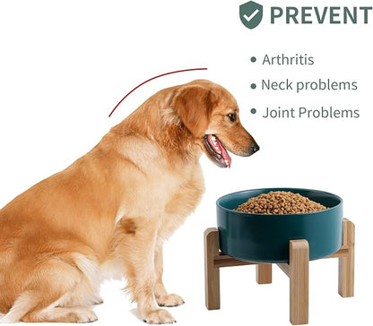 Green Raised/Elevated Ceramic Dog Bowl for Small Medium Sized Breeds,Dog Food Water Bowl with Stand,6 in Non Slip Heavy Pet Feeding Dish 3.6 Cups/ 850 ml /28 OZ