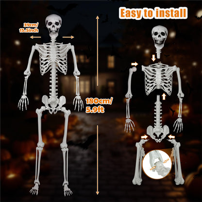 LaLamona 5.9ft/180cm Posable Halloween Skeleton, Life Size Skeleton Bones with Movable Joints for Halloween Graveyard Haunted House Spooky Scene Decor, 1pc