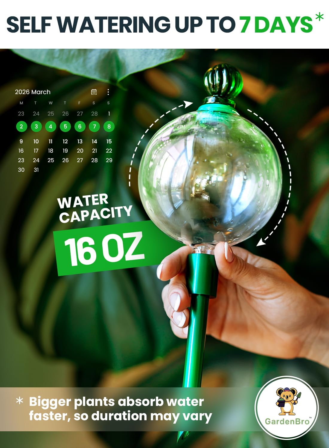 16 Oz Plant Watering Globes for Indoor Plants with Metal Self Watering Planter Insert - Premium XL Glass Hand-Blown Globe - Automatic Plant Waterer Indoor, Gift Idea for Gardeners [1 Globe, Clear]