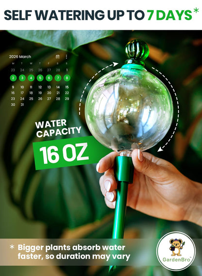 3pcs 16 Oz Plant Watering Globes for Indoor Plants with Metal Self Watering Planter Insert - Premium XL Glass Hand-Blown Globes - Automatic Plant Waterer Indoor, Gift Idea for Gardeners [3 Globes]