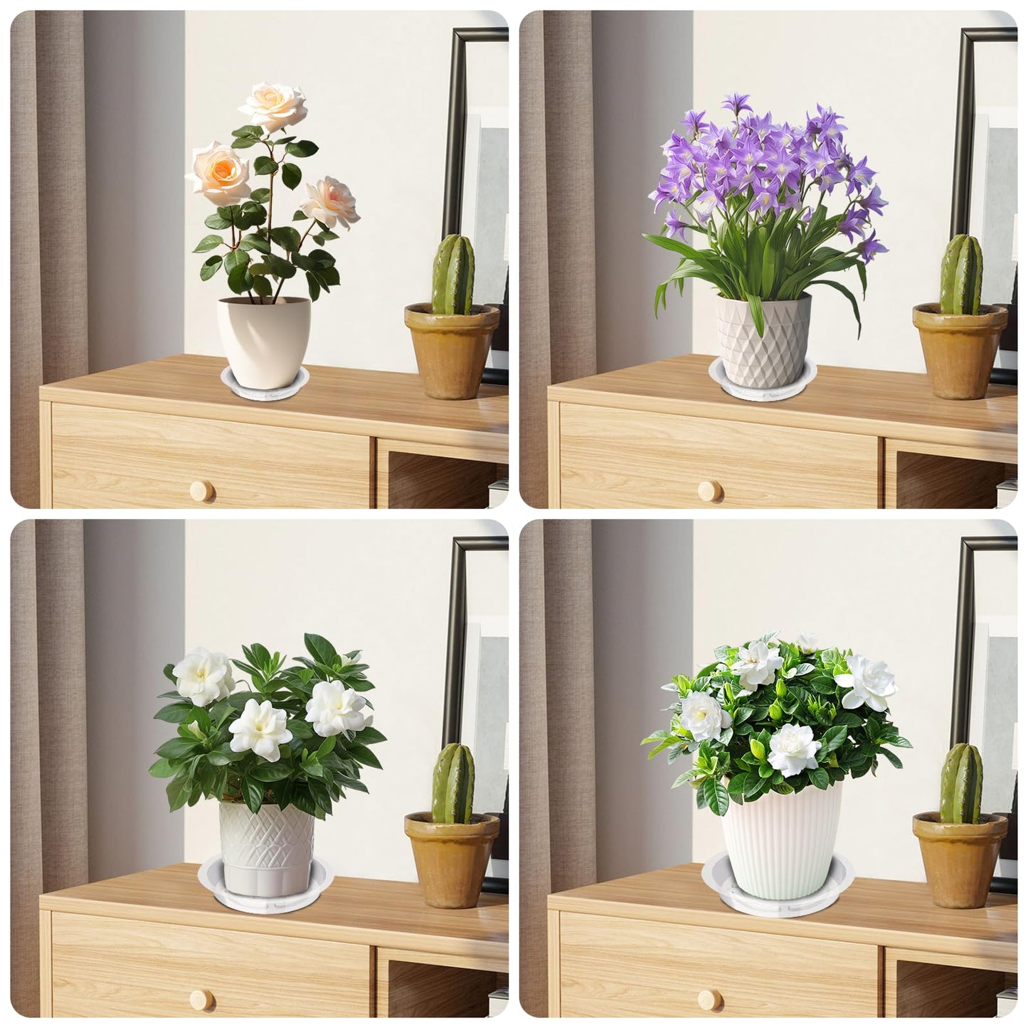 Hyuetrsa 36 PCS Plastic Plant Trays，6/8/10/12 Inch Plant Saucers Clear Plastic,Plastic Plant Saucer Durable Plant Trays for Plant pots Indoors and Outdoors（Round，Clear）